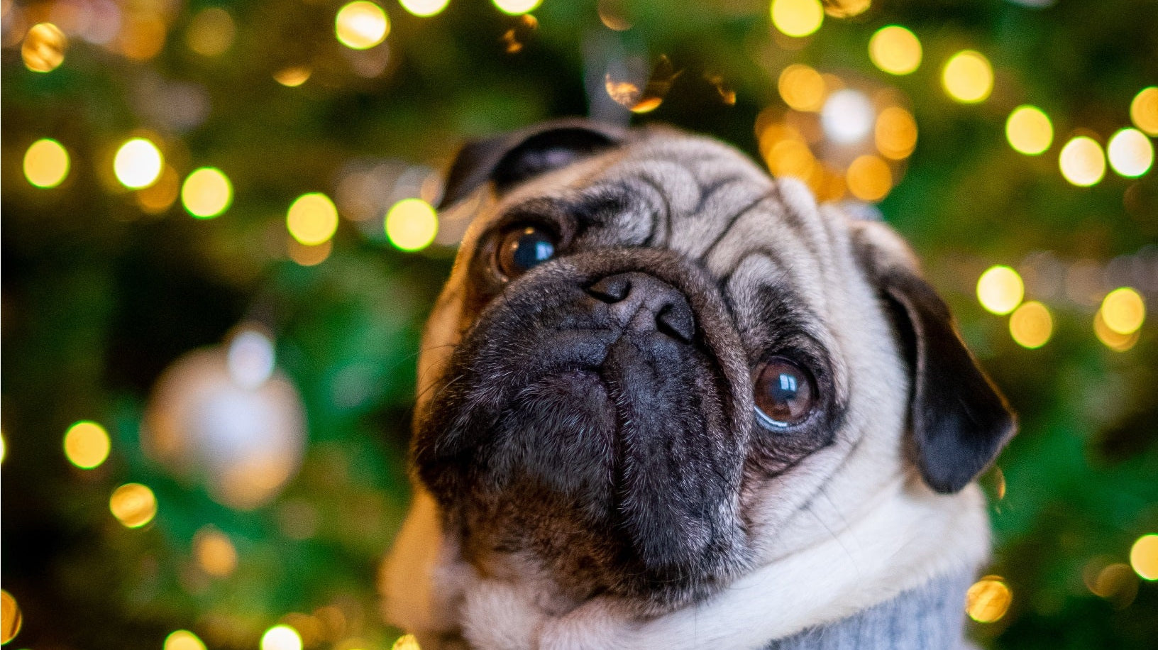 Wat moet ik aan met kerst en Oud en Nieuw? - Gents