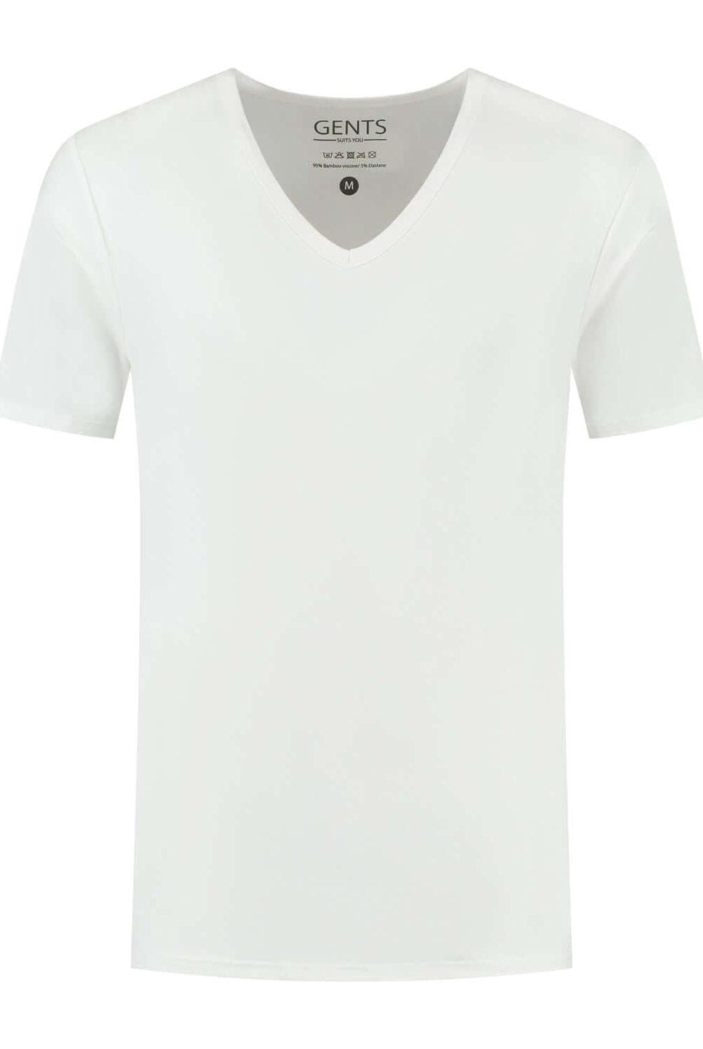 T-shirts 2 pack bamboe V-hals