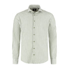 Blumfontain balkstreep groen - Gents