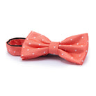 Strik dot rood - Gents