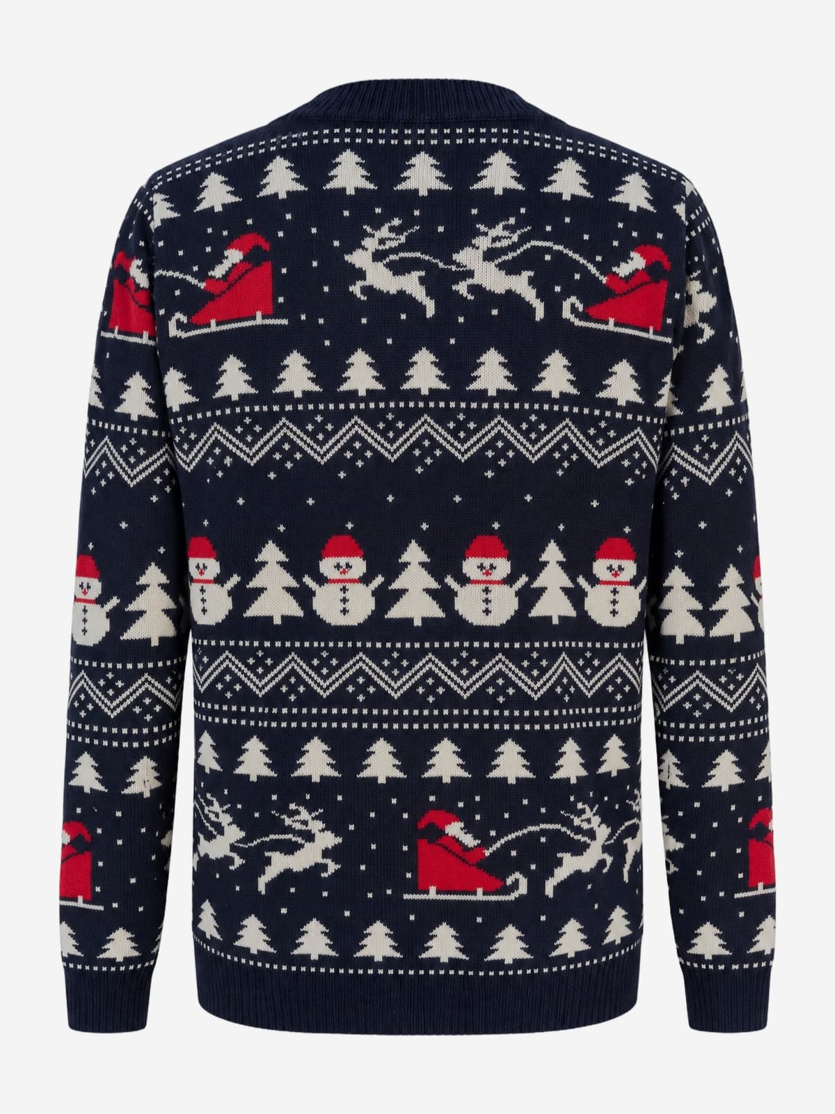 Kersttrui arreslee LED blauw — achterkant