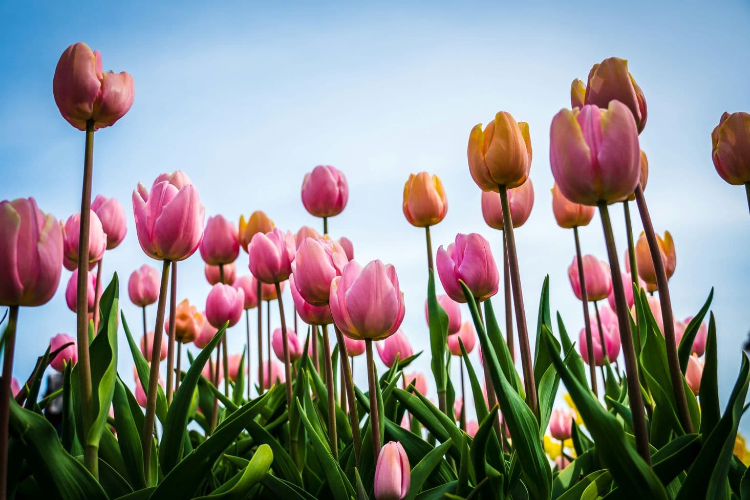 Ben jij al klaar voor de lente trends van 2019?