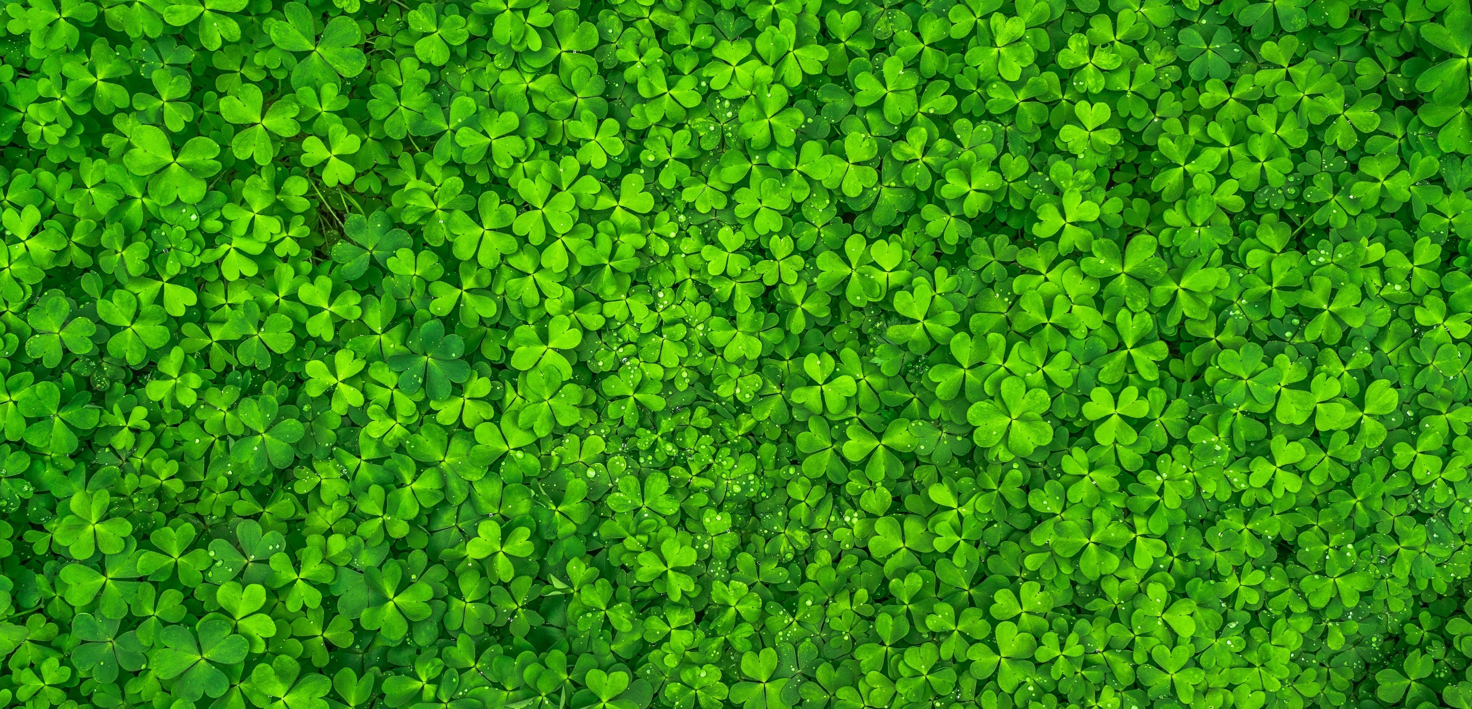 Feest outfit compleet voor St. Patrick’s Day?
