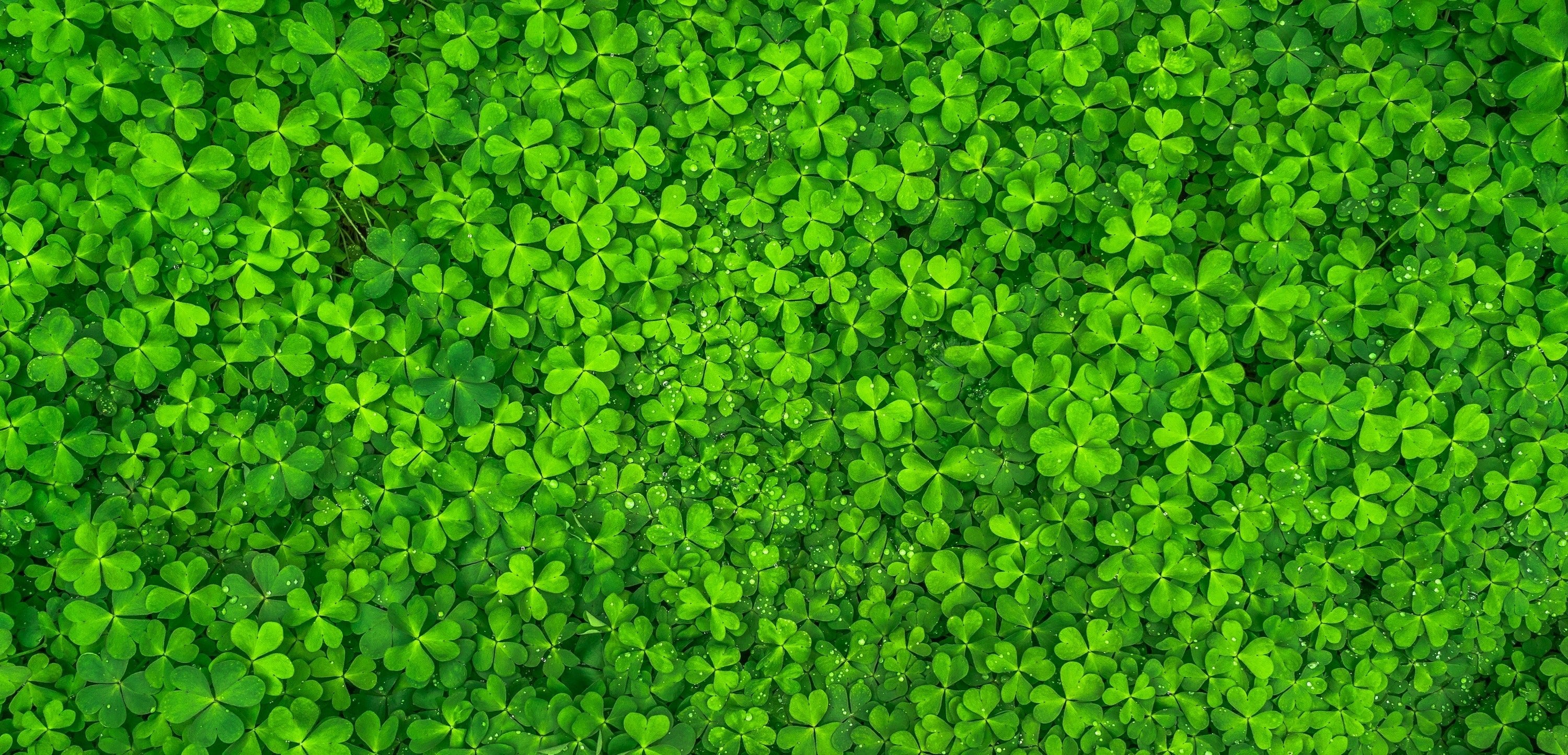 Feest outfit compleet voor St. Patrick’s Day? - Gents
