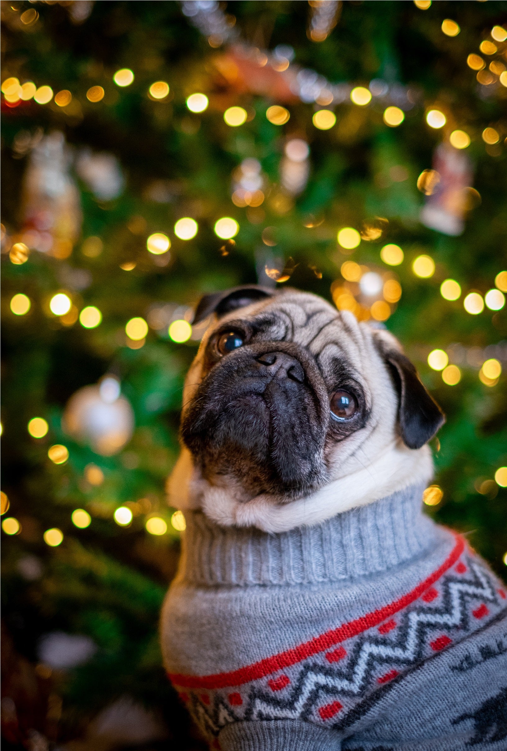 Wat moet ik aan met kerst en Oud en Nieuw?