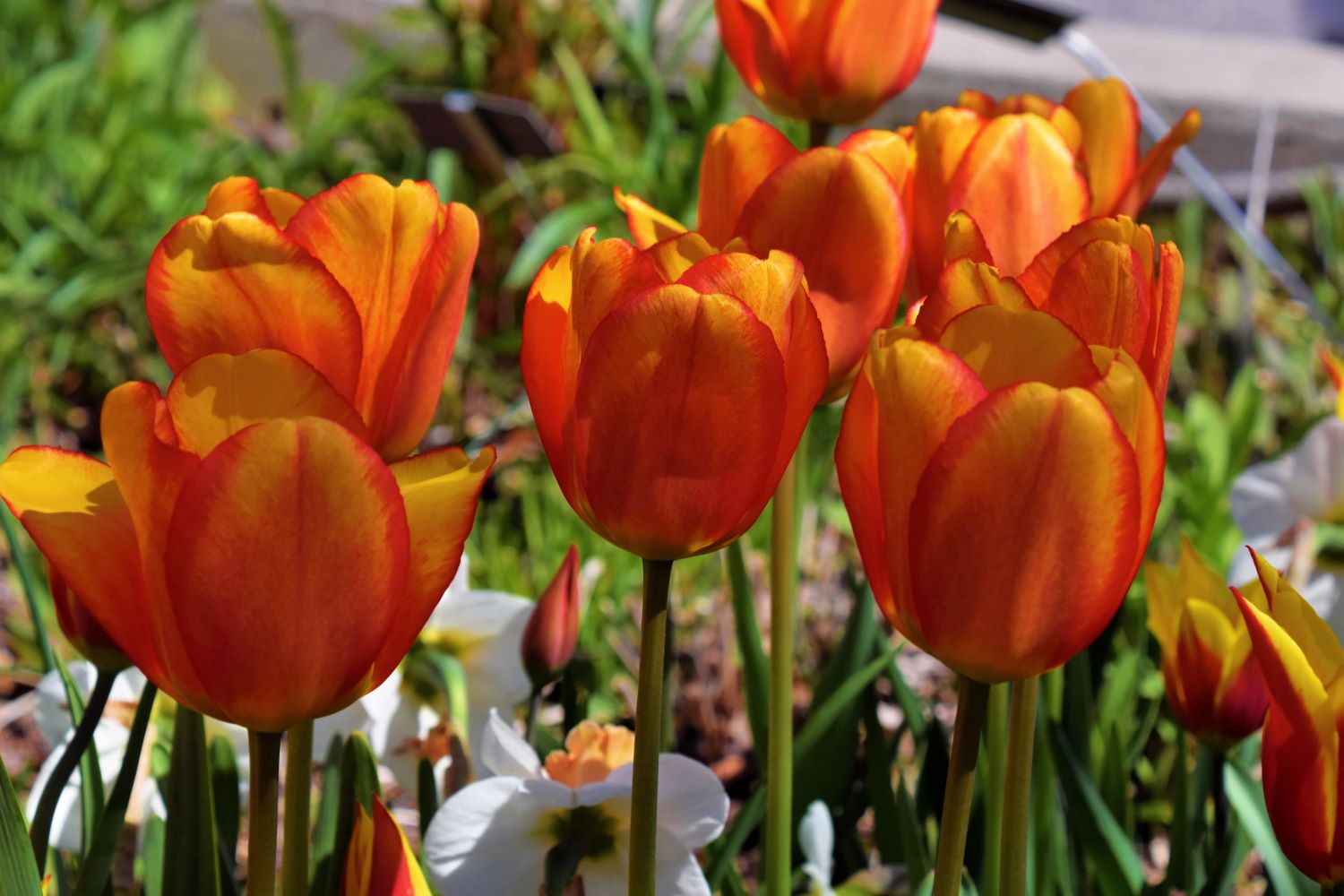 Voeg een speciaal tintje toe met accessoires - Gents