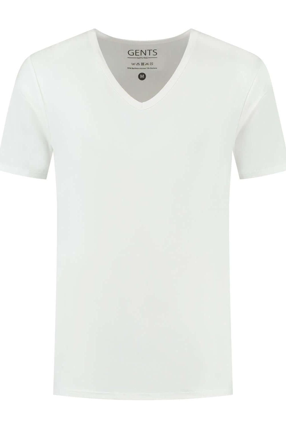 T-shirts 2 pack bamboe V-hals