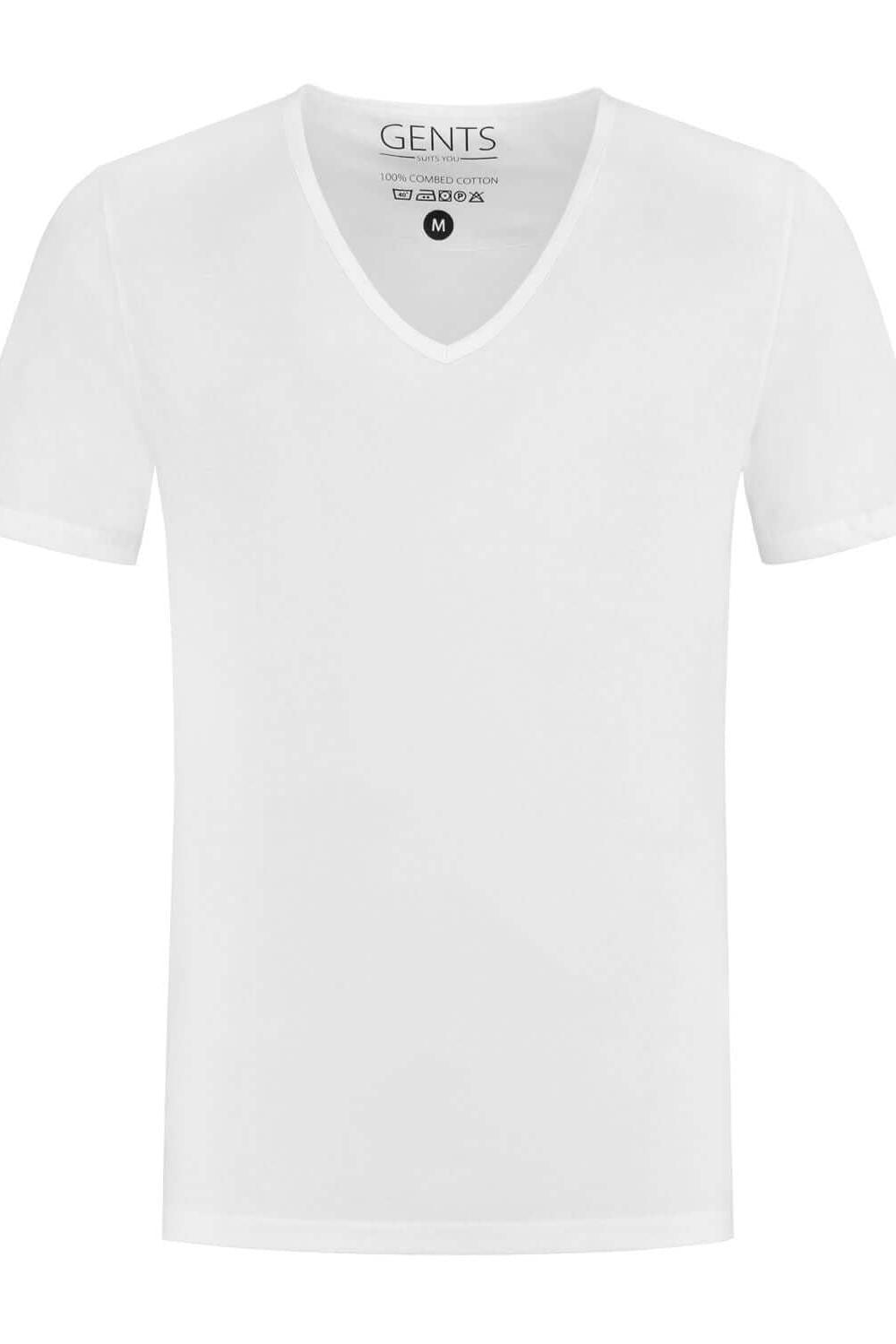 T-shirts 2 pack v-hals