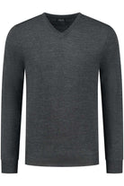 V-neck merinoblend antra