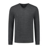 V - neck merinoblend antra - Gents